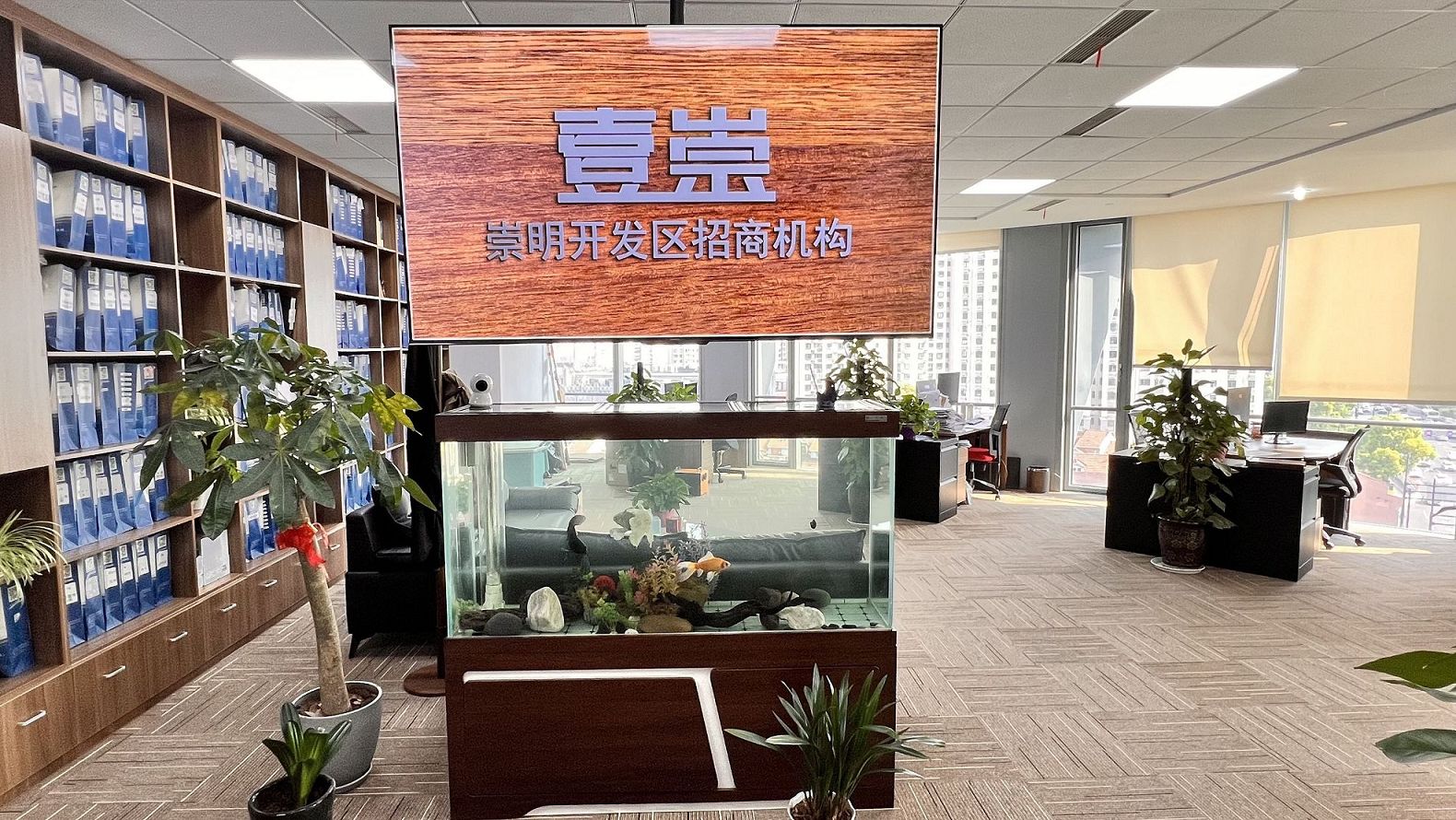 股份公司登记流程在崇明的特殊要求解析