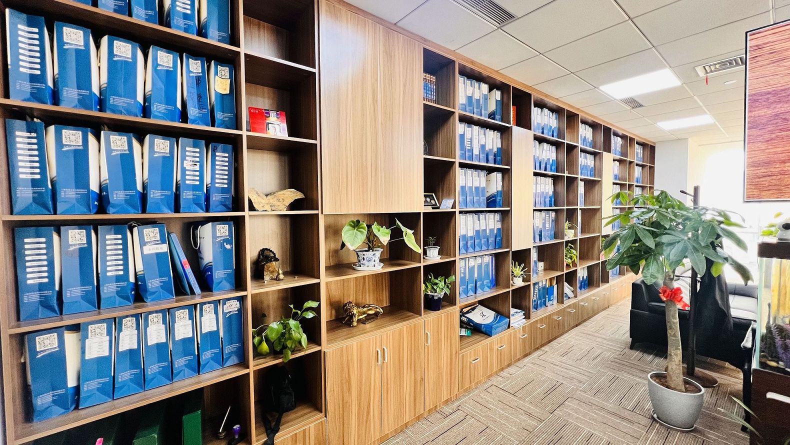 股东会决议在公司清算中的分配方案